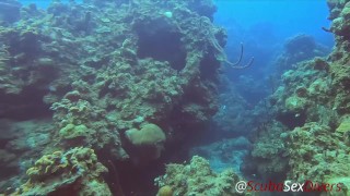 SCUBA Sex in a Miniskirt by a Beautiful Coral Reef